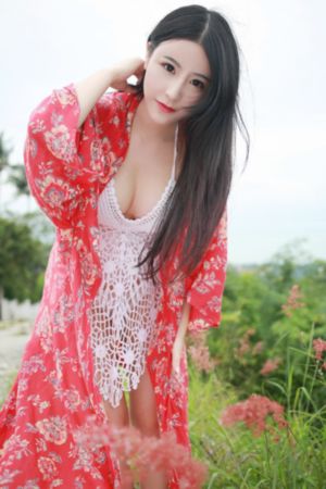 魔域飞龙