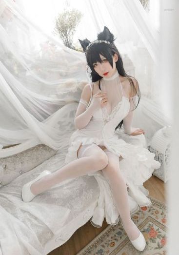 写真福利片hd在线观看